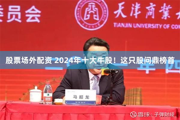 股票场外配资 2024年十大牛股！这只股问鼎榜首