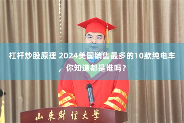 杠杆炒股原理 2024美国销售最多的10款纯电车，你知道都是谁吗？