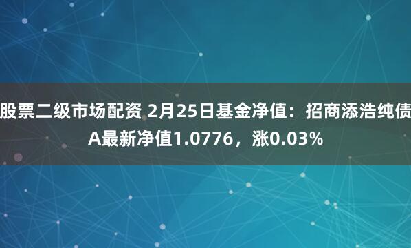 股票二级市场配资 2月25日基金净值：招商添浩纯债A最新净值1.0776，涨0.03%