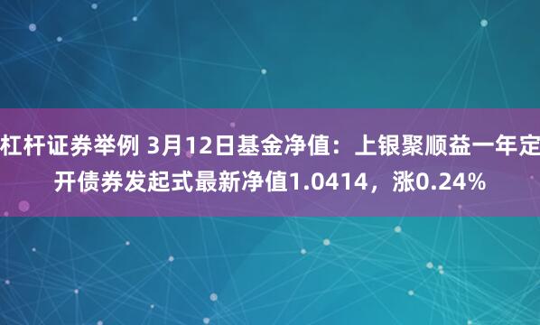 杠杆证券举例 3月12日基金净值：上银聚顺益一年定开债券发起式最新净值1.0414，涨0.24%