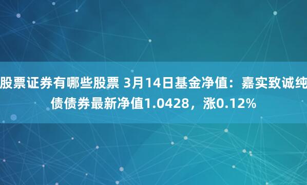 股票证券有哪些股票 3月14日基金净值：嘉实致诚纯债债券最新净值1.0428，涨0.12%